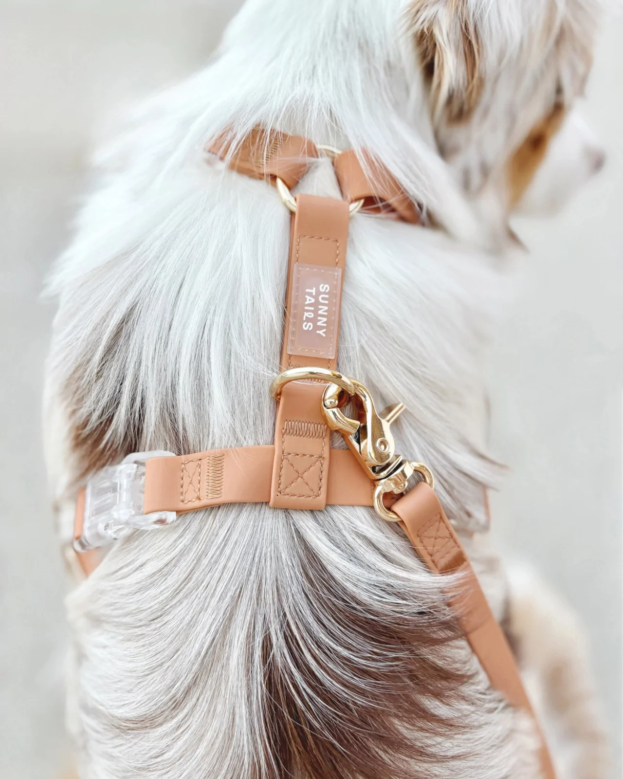 Chai Brown Cloud Lite Dog Harness - Image 4