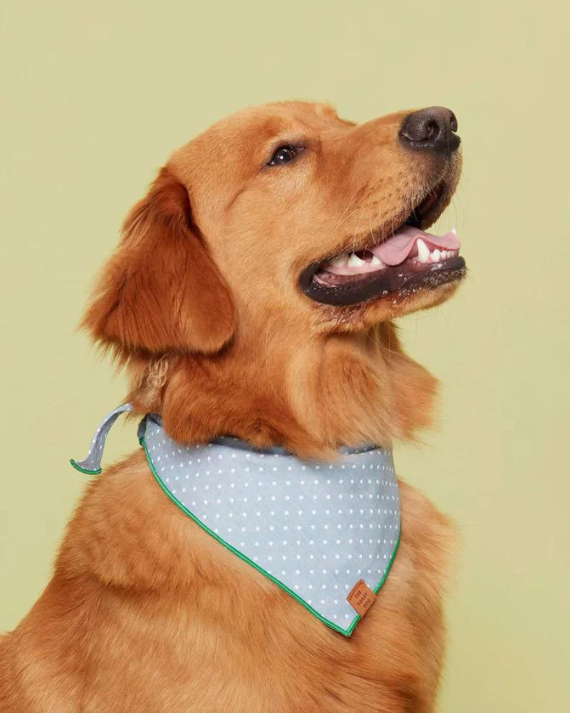 Chambray Dots Dog Bandana - Image 3
