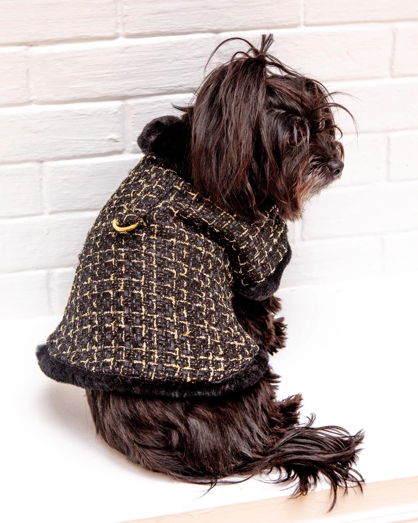 Chantel Tweed Dog Coat in Black (FINAL SALE) - Image 2