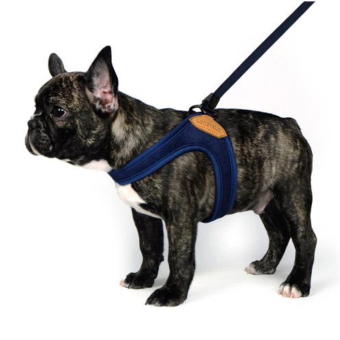 Adjustable Easy Dog Harness in Navy - Image 5
