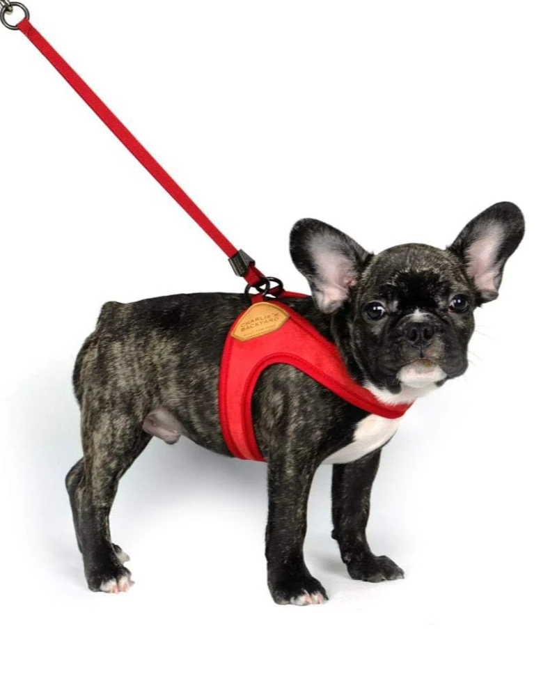 Adjustable Easy Dog Harness in Red - Image 3