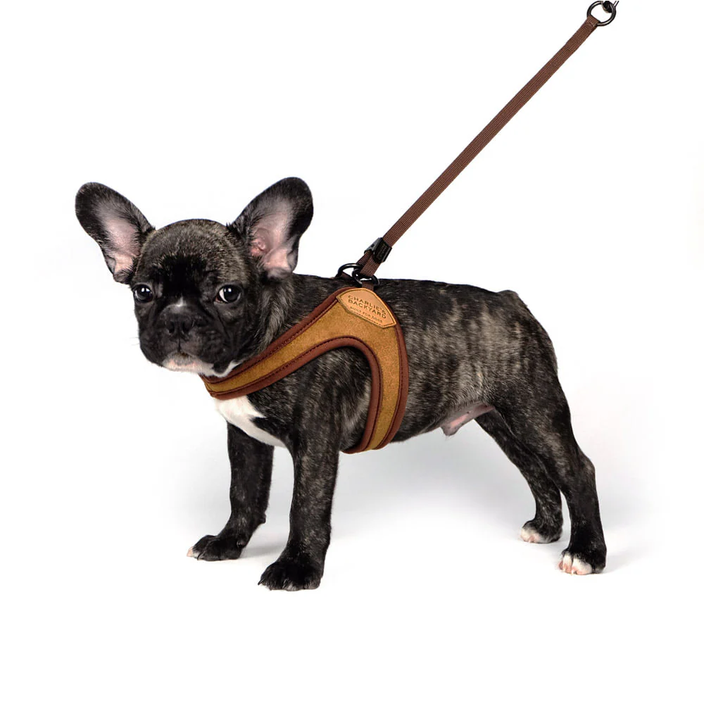 Adjustable Easy Dog Harness in Tan - Image 4