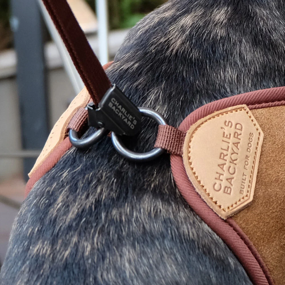 Adjustable Easy Dog Harness in Tan - Image 5