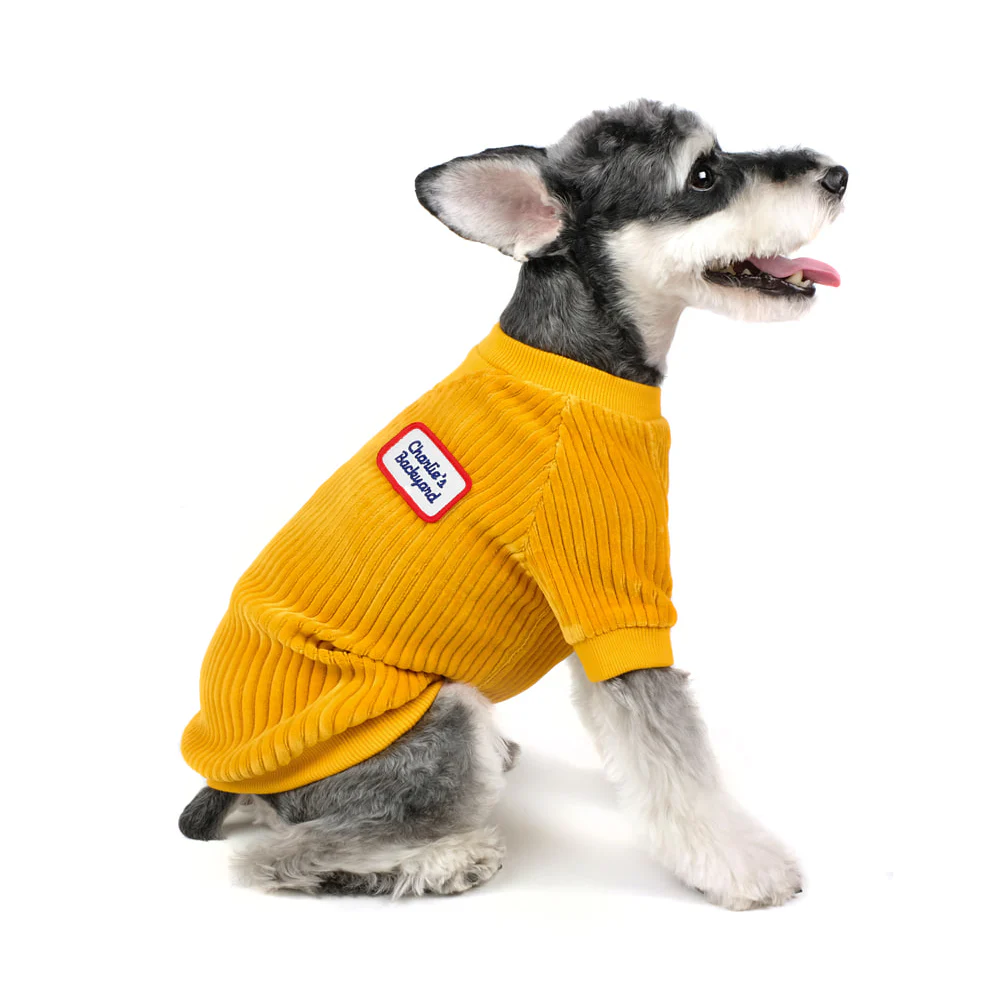 CHARLIE'S BACKYARD | Alley Pullover in Mustard - Image 4