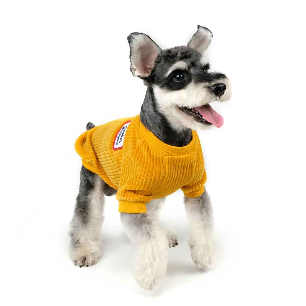 CHARLIE'S BACKYARD | Alley Pullover in Mustard - Image 6