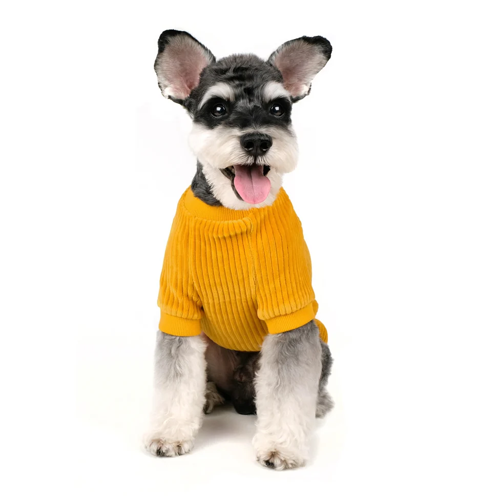 CHARLIE'S BACKYARD | Alley Pullover in Mustard - Image 7