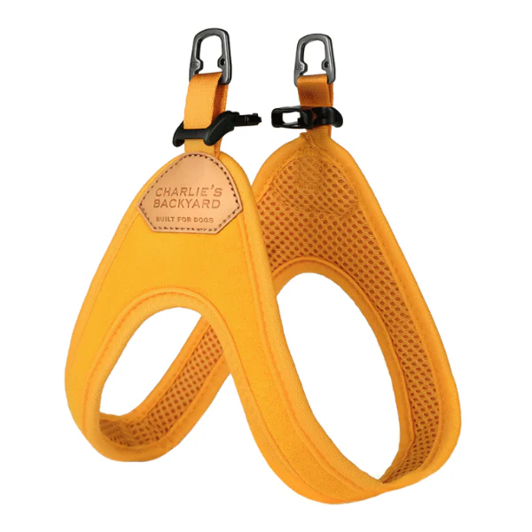 Buckle Up Easy Dog Harness in Yellow - Image 4