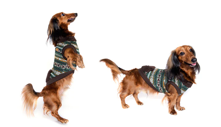 CHARLIE'S BACKYARD | Carpenter Fleece Vest - Image 4
