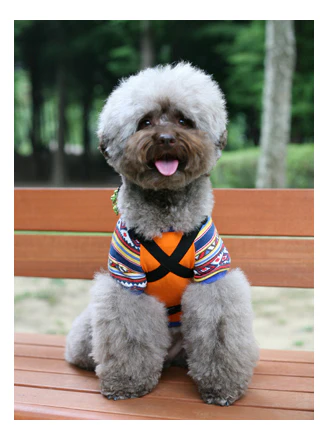 CHARLIE'S BACKYARD | Charlie's Bag Backpack in Orange - Image 3
