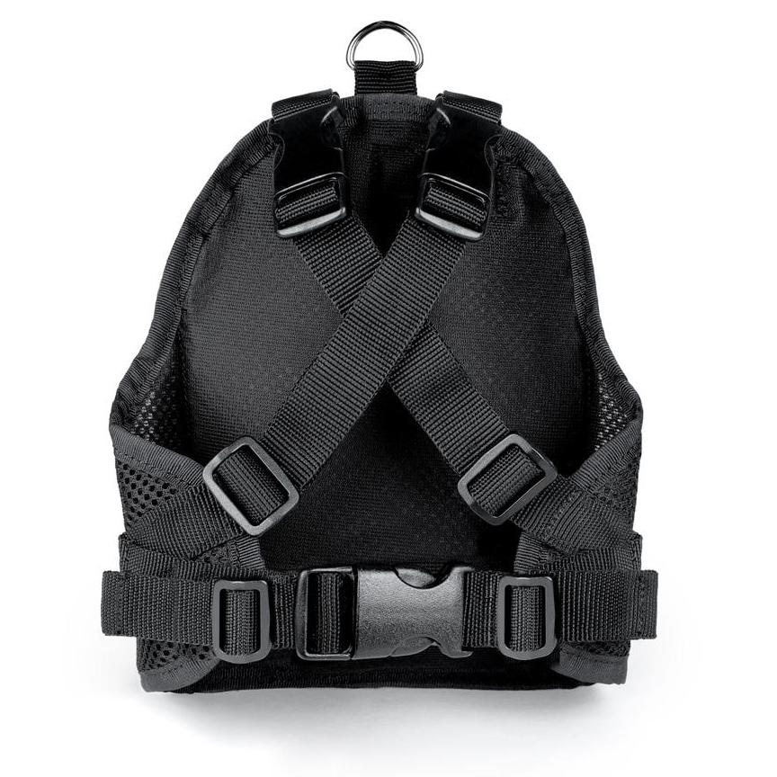 CHARLIE'S BACKYARD | Charlie's Bag Backpack in Royal Blue - Image 2