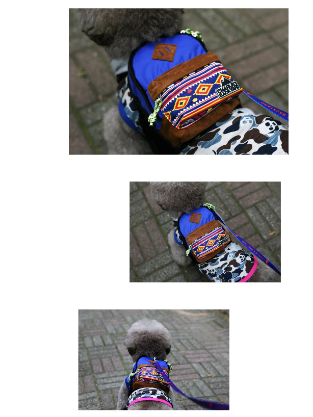 CHARLIE'S BACKYARD | Charlie's Bag Backpack in Royal Blue - Image 3