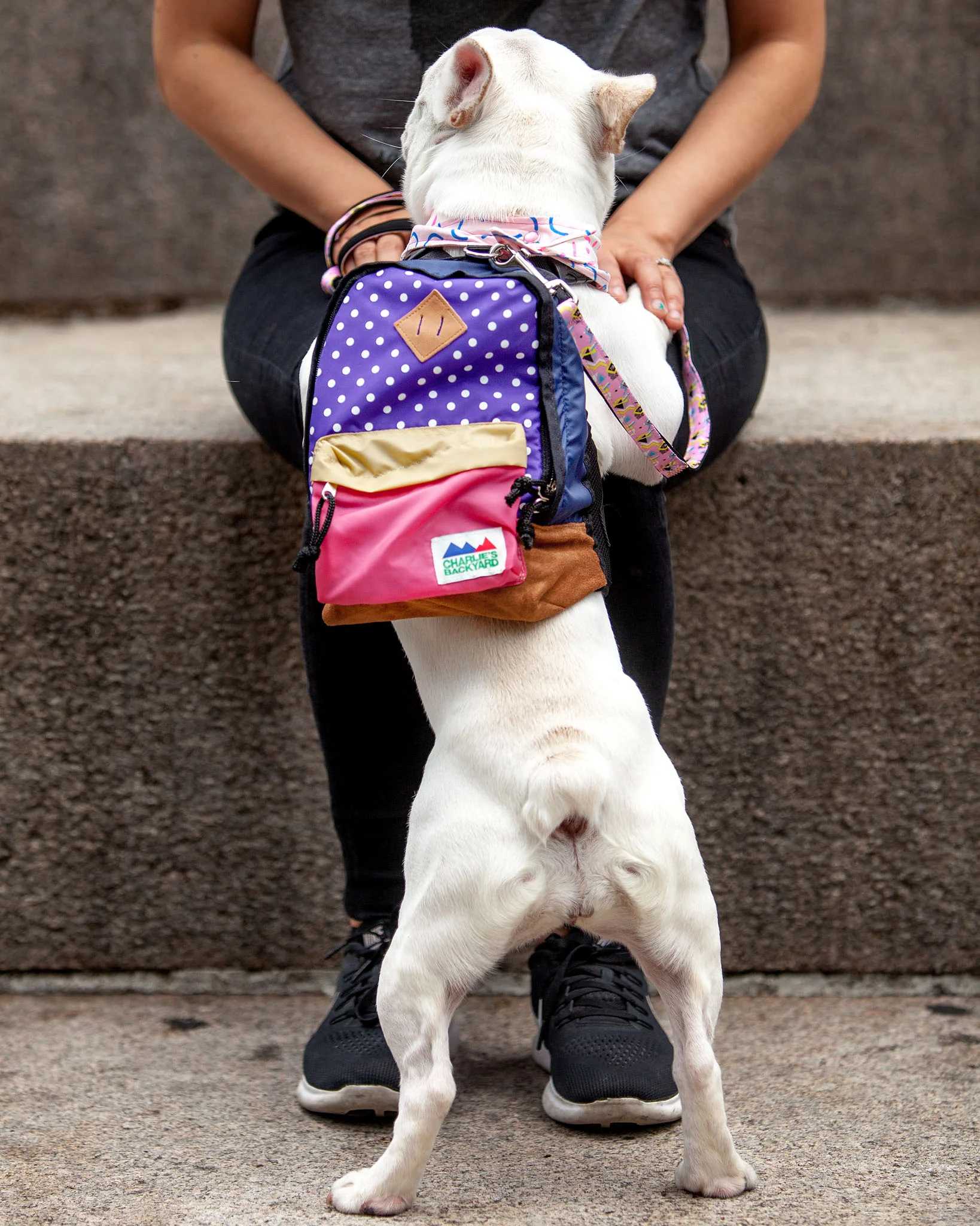 Charlie's Bag Backpack in Violet (FINAL SALE) - Image 6