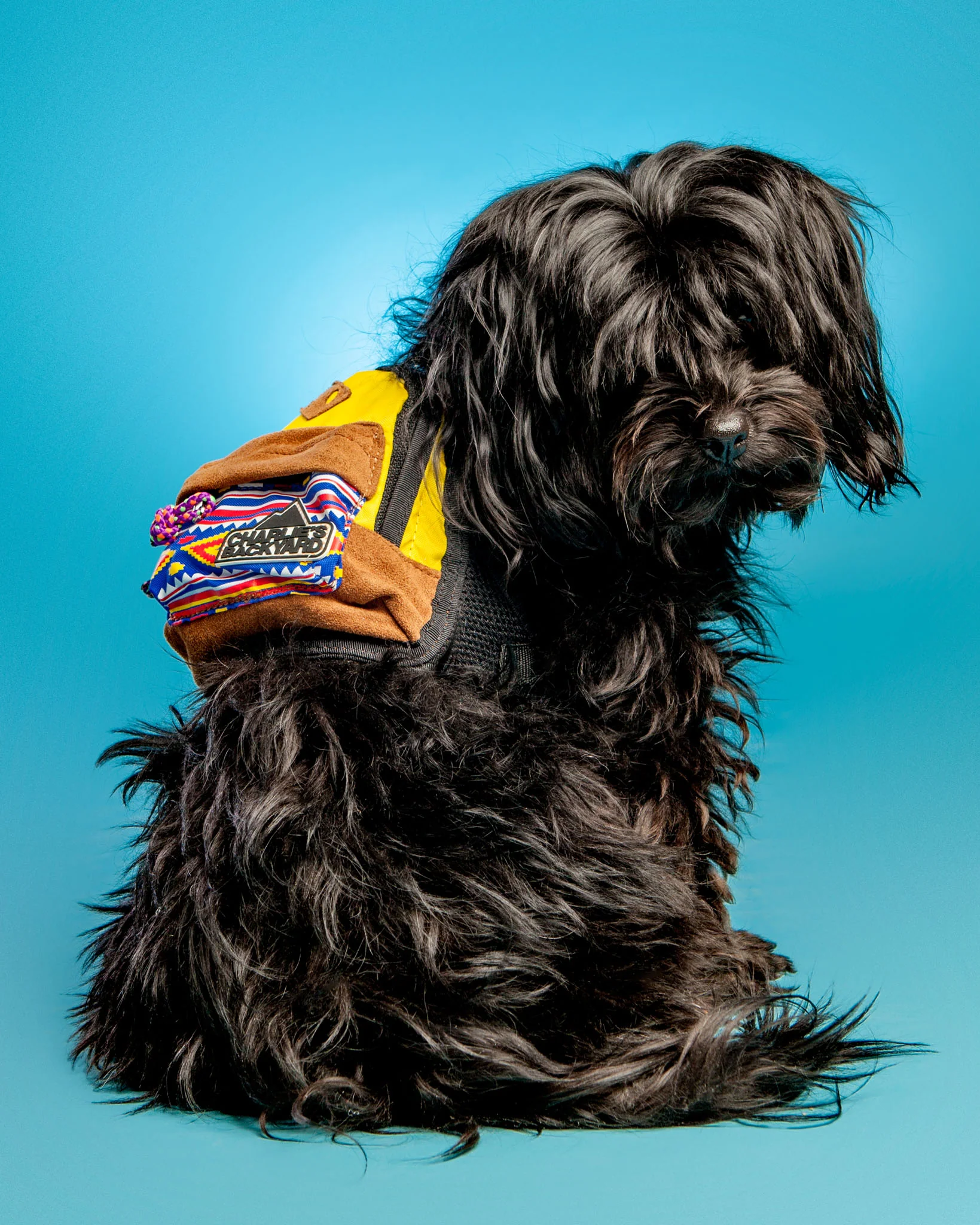 Charlie's Bag Backpack in Yellow (FINAL SALE) - Image 9