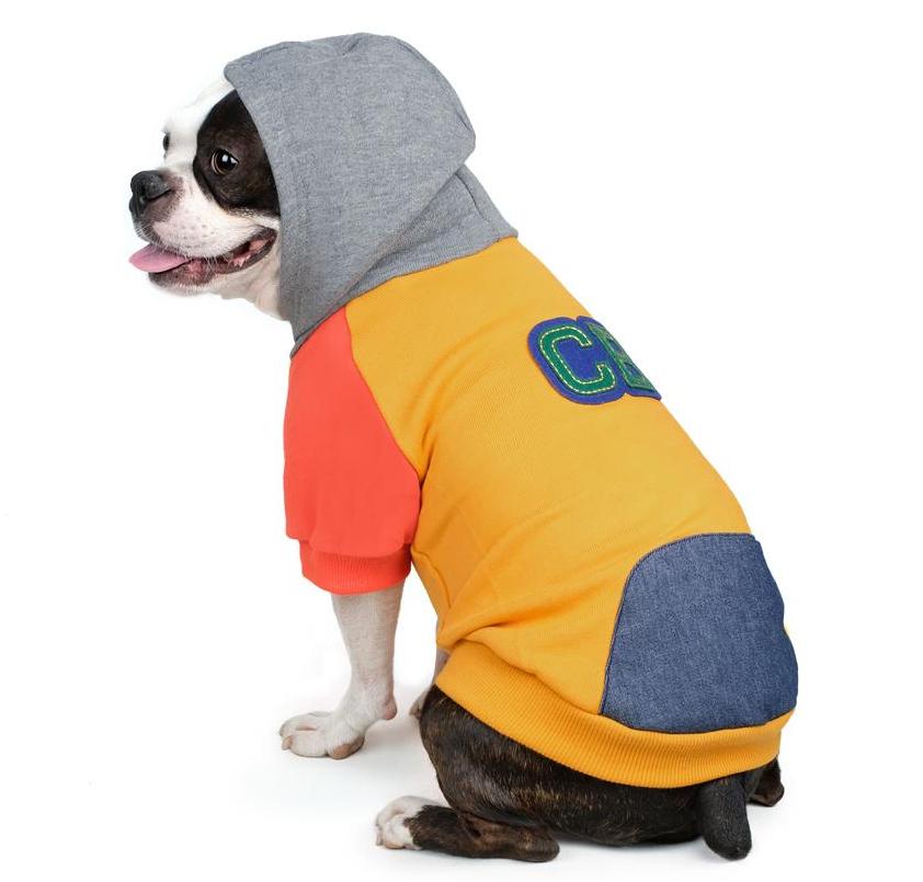 CHARLIE'S BACKYARD | Club Hoodie in Yellow