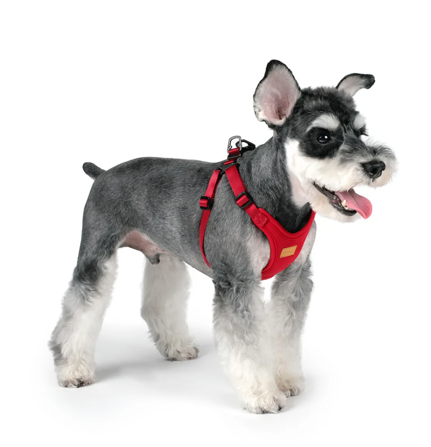 Comfort Dog Harness in Red - Image 6