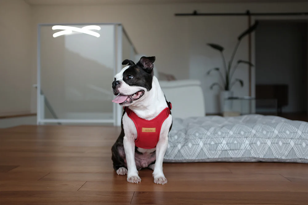 Comfort Dog Harness in Red - Image 7