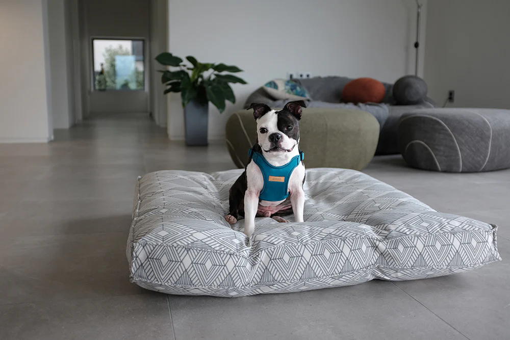 Comfort Dog Harness in Teal - Image 10