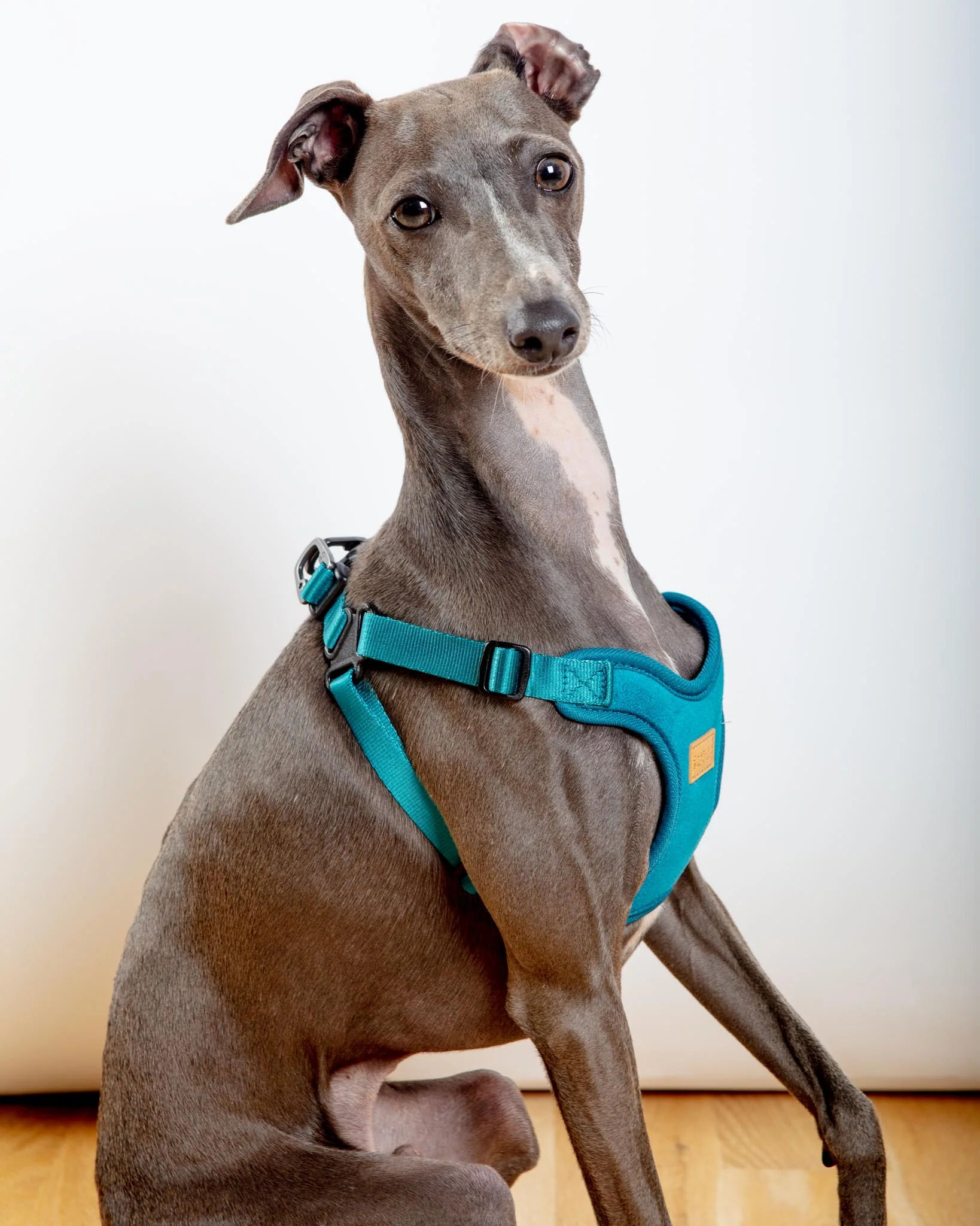 Comfort Dog Harness in Teal - Image 3