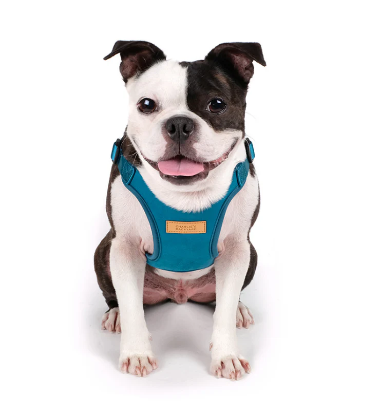 Comfort Dog Harness in Teal - Image 5