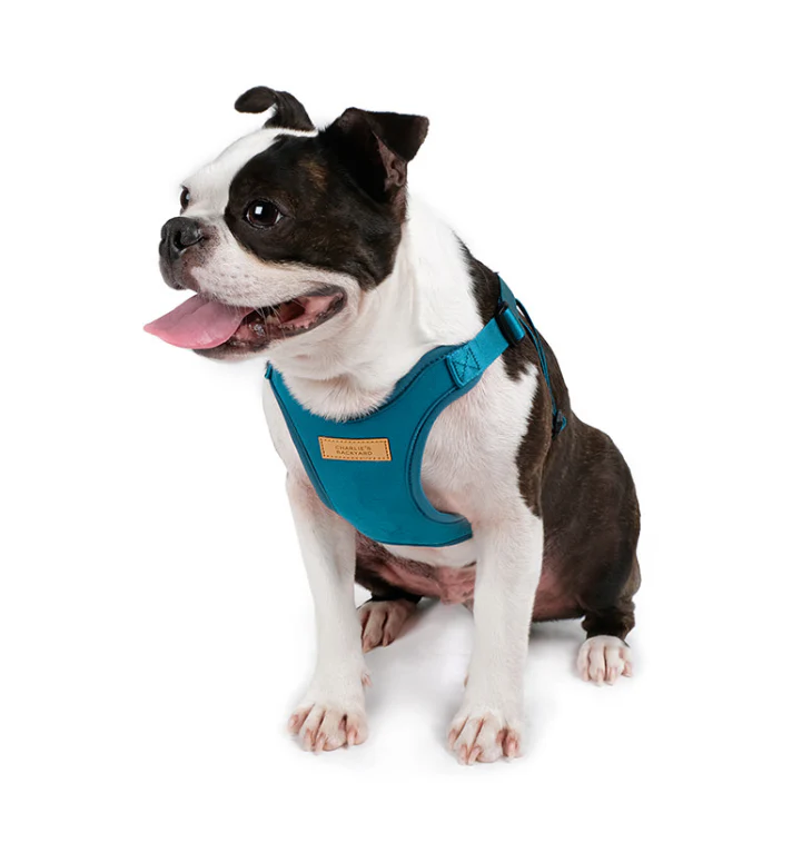 Comfort Dog Harness in Teal - Image 7