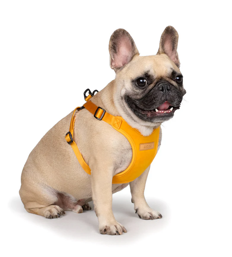 Comfort Dog Harness in Yellow - Image 4