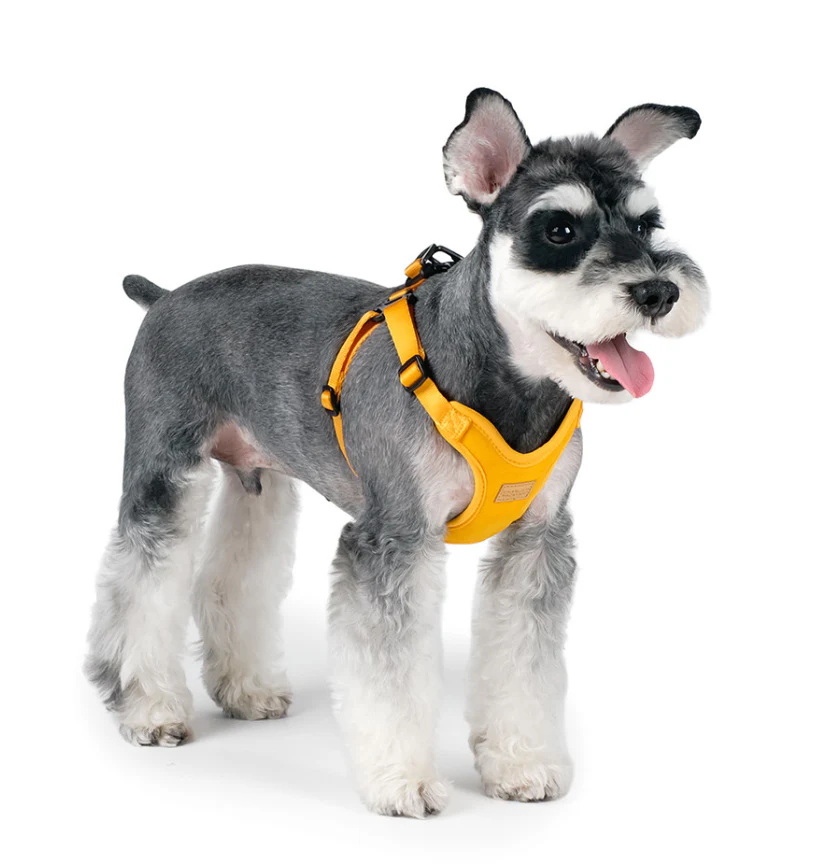 Comfort Dog Harness in Yellow - Image 7