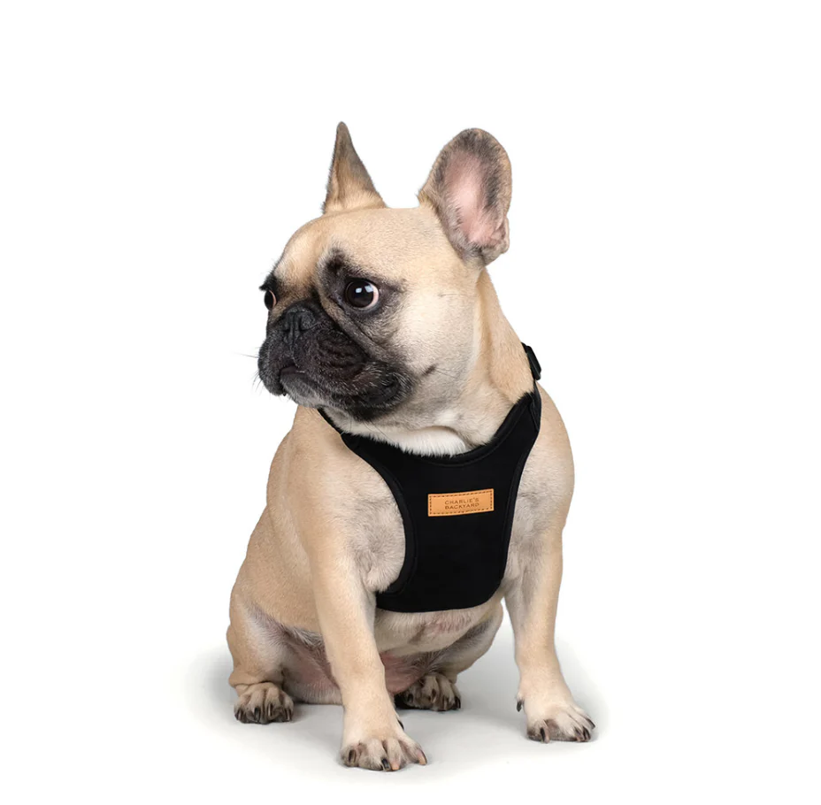 Comfort Dog Harness in Black - Image 5