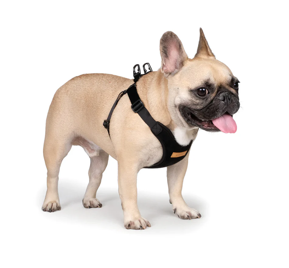 Comfort Dog Harness in Black - Image 6