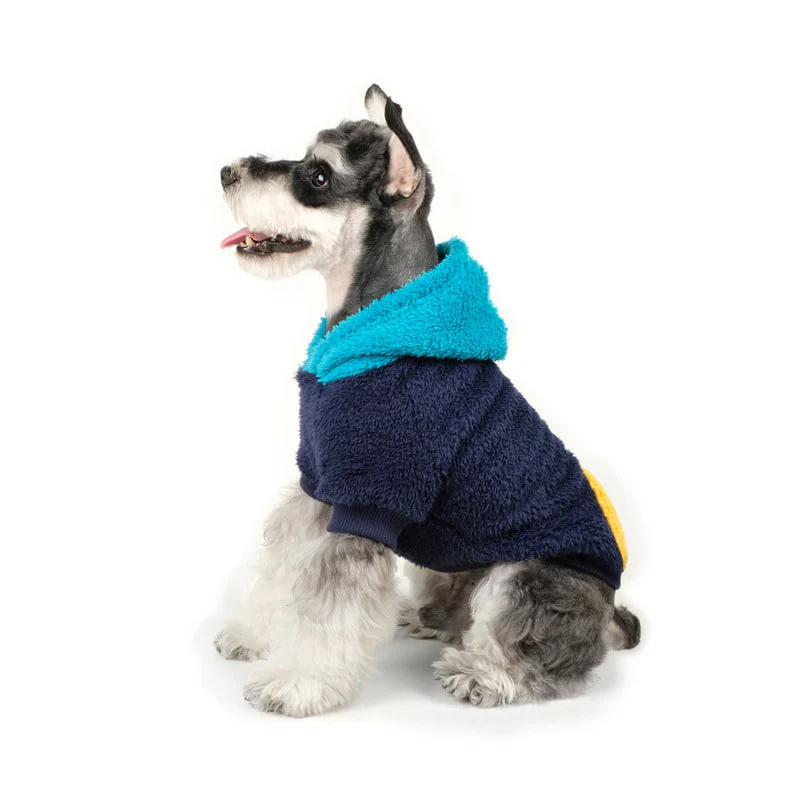 CHARLIE'S BACKYARD | Cozy Hood in Blue - Image 5