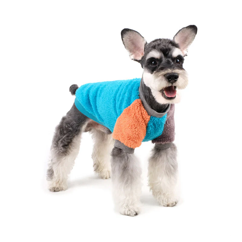 CHARLIE'S BACKYARD | Cozy Pullover in Blue - Image 4