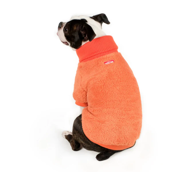 CHARLIE'S BACKYARD | Cozy Turtleneck in Orange - Image 4