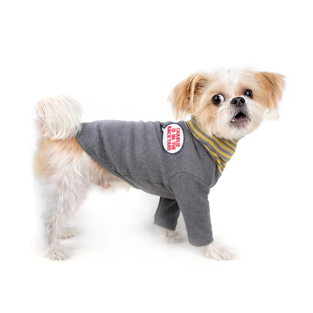CHARLIE'S BACKYARD | Daze Turtleneck in Gray - Image 2