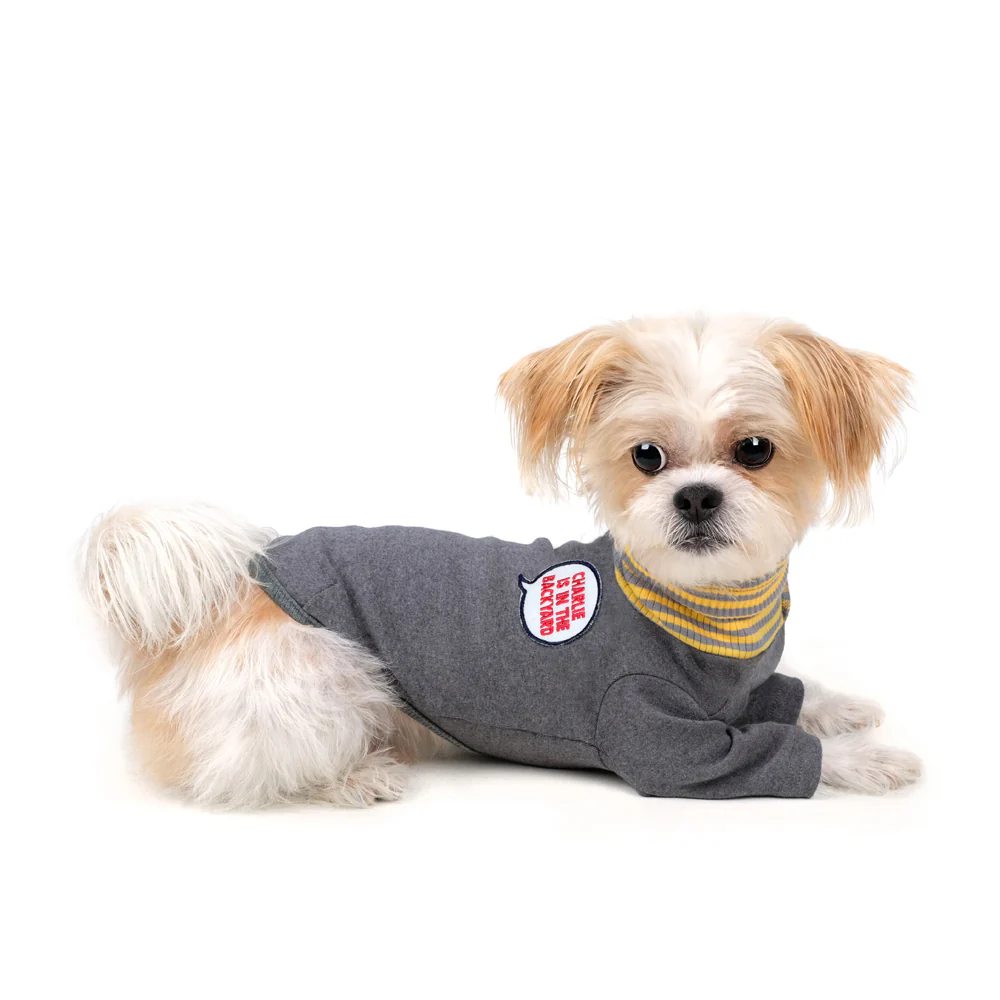 CHARLIE'S BACKYARD | Daze Turtleneck in Gray - Image 3