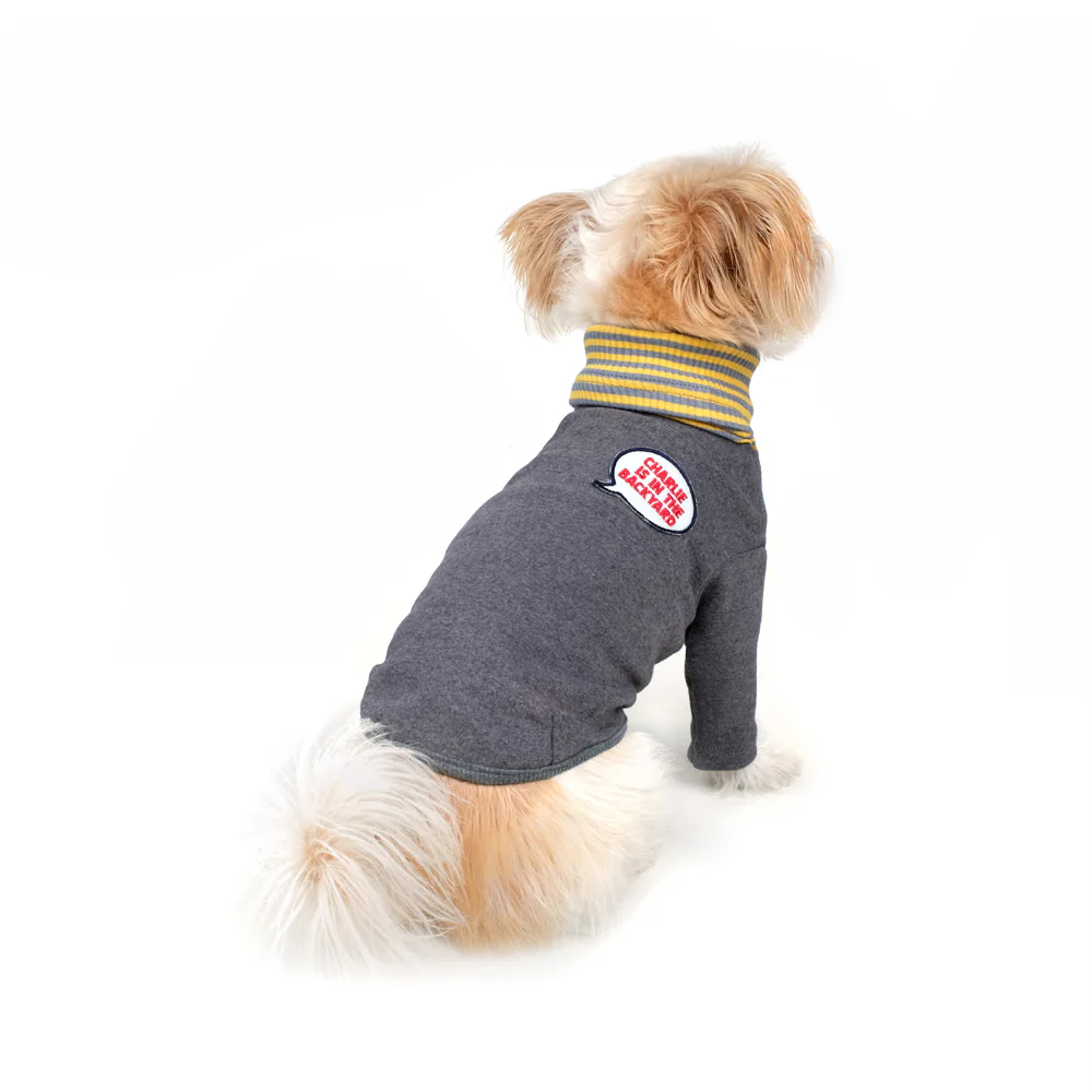 CHARLIE'S BACKYARD | Daze Turtleneck in Gray - Image 4