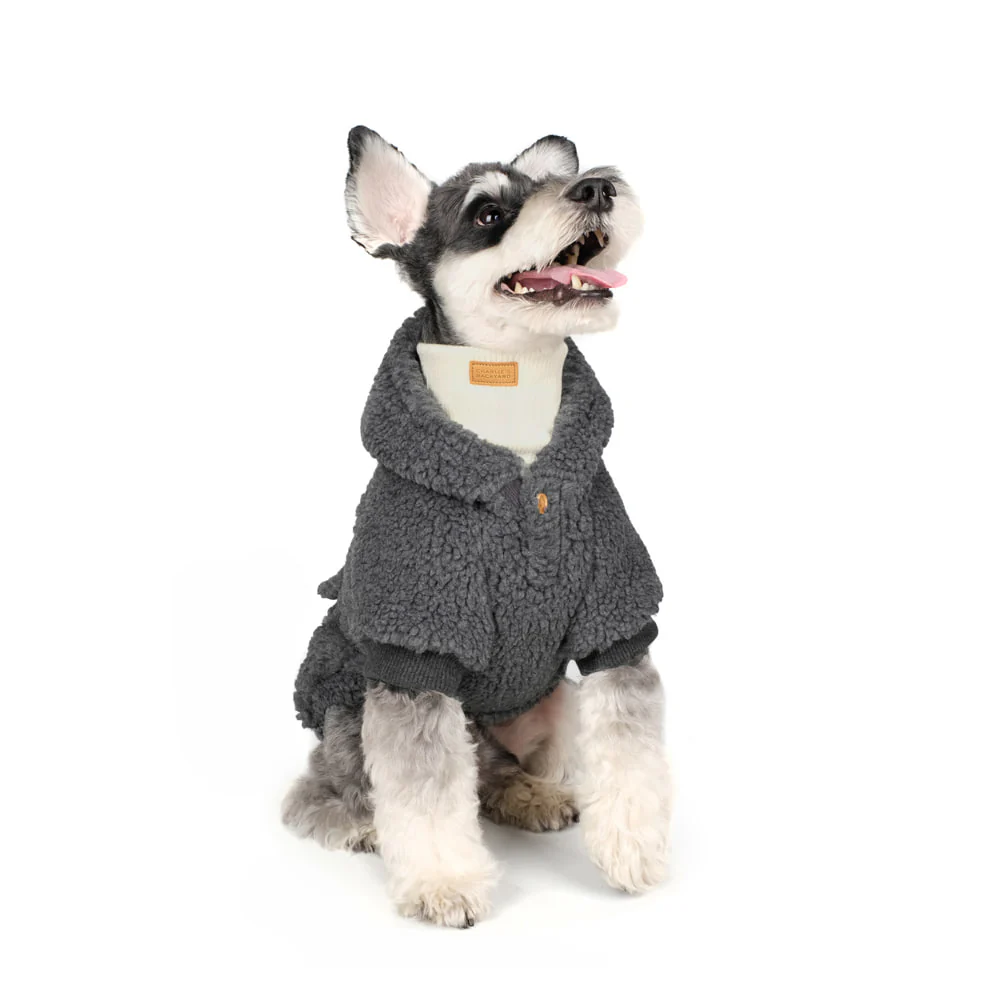 CHARLIE'S BACKYARD | Dickie Hoodie in Grey - Image 3