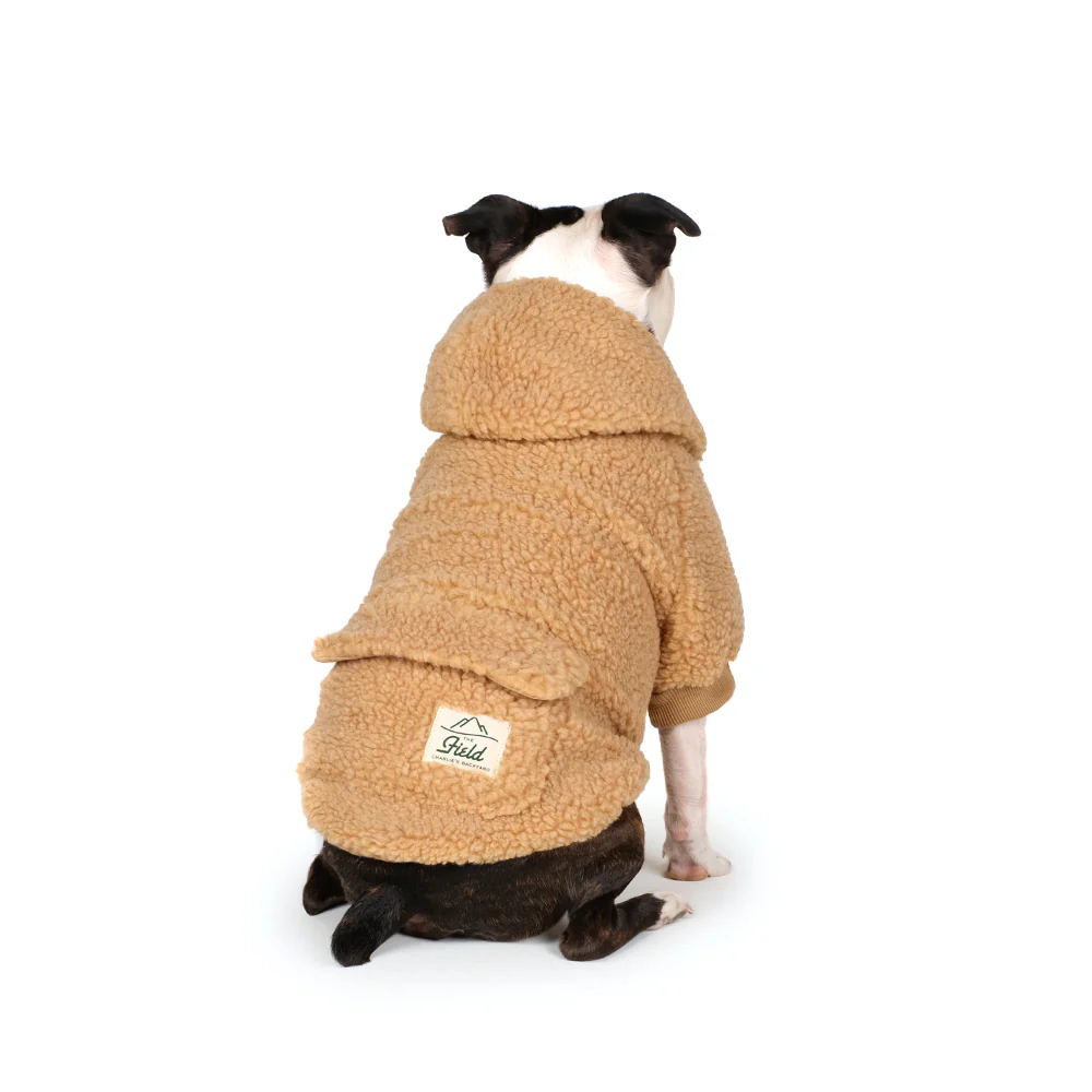 CHARLIE'S BACKYARD | Dickie Hoodie in Tan - Image 2