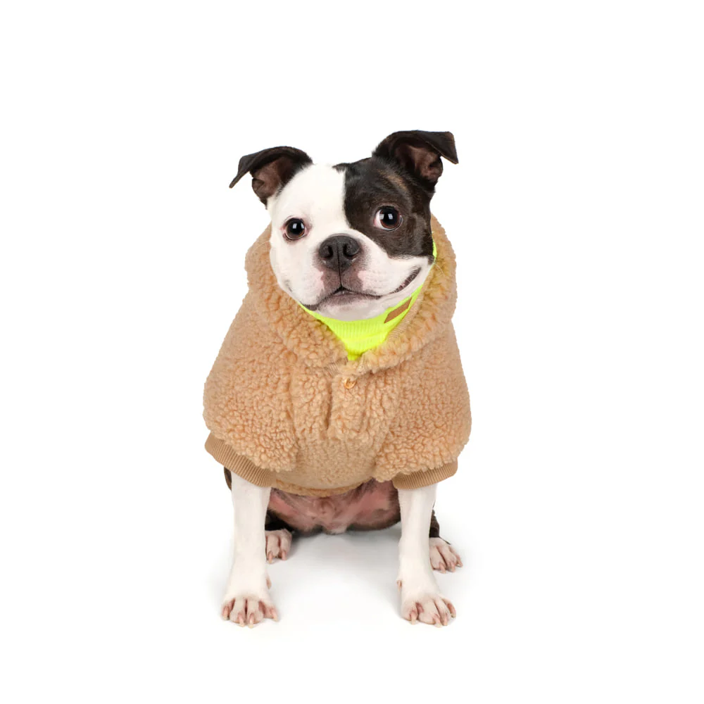 CHARLIE'S BACKYARD | Dickie Hoodie in Tan - Image 4