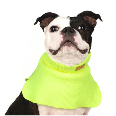 CHARLIE'S BACKYARD | Dickie Turtleneck Warmer in Neon Yellow
