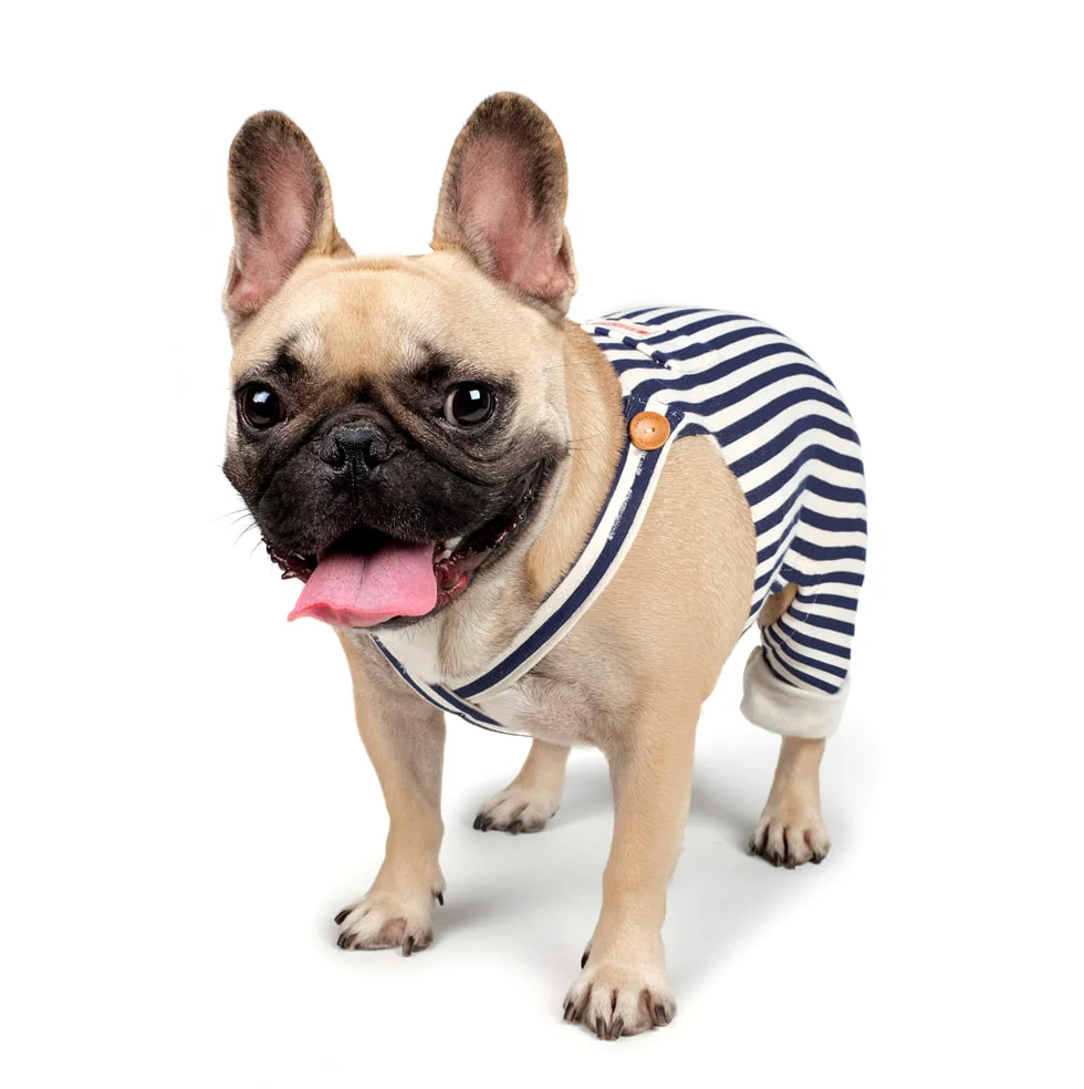 CHARLIE'S BACKYARD | Donut Overalls in Navy - Image 5
