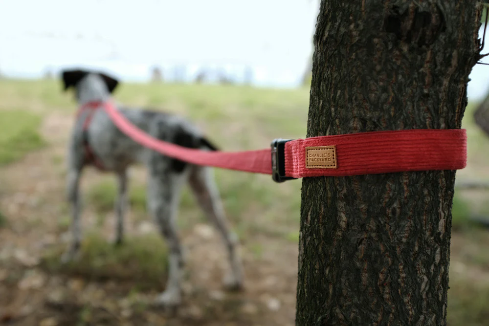 CHARLIE'S BACKYARD | Field Leash in Red - Image 6