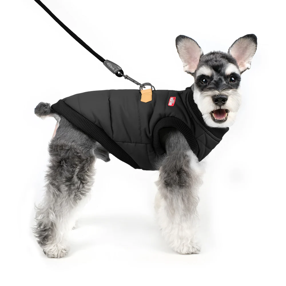 CHARLIE'S BACKYARD | Harness Jacket in Black