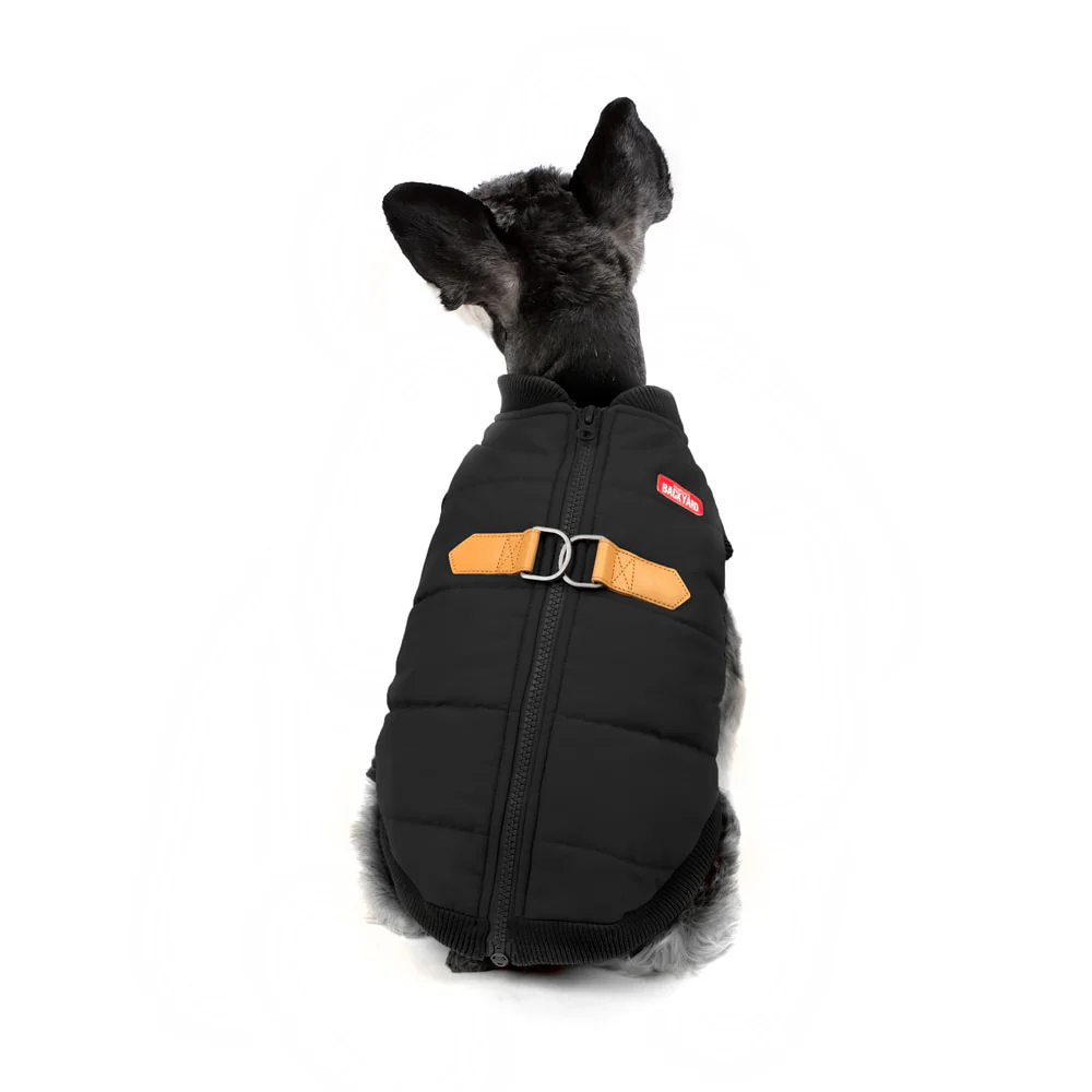 CHARLIE'S BACKYARD | Harness Jacket in Black - Image 3