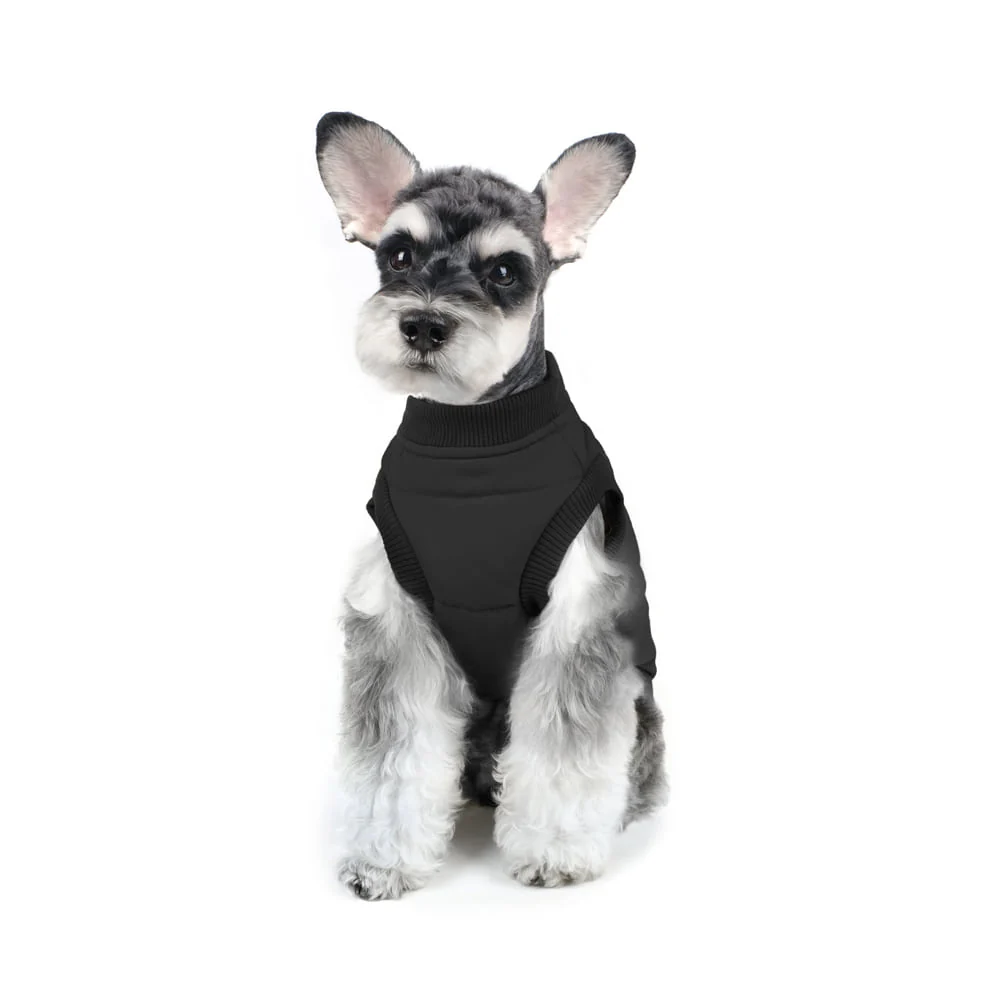 CHARLIE'S BACKYARD | Harness Jacket in Black - Image 4