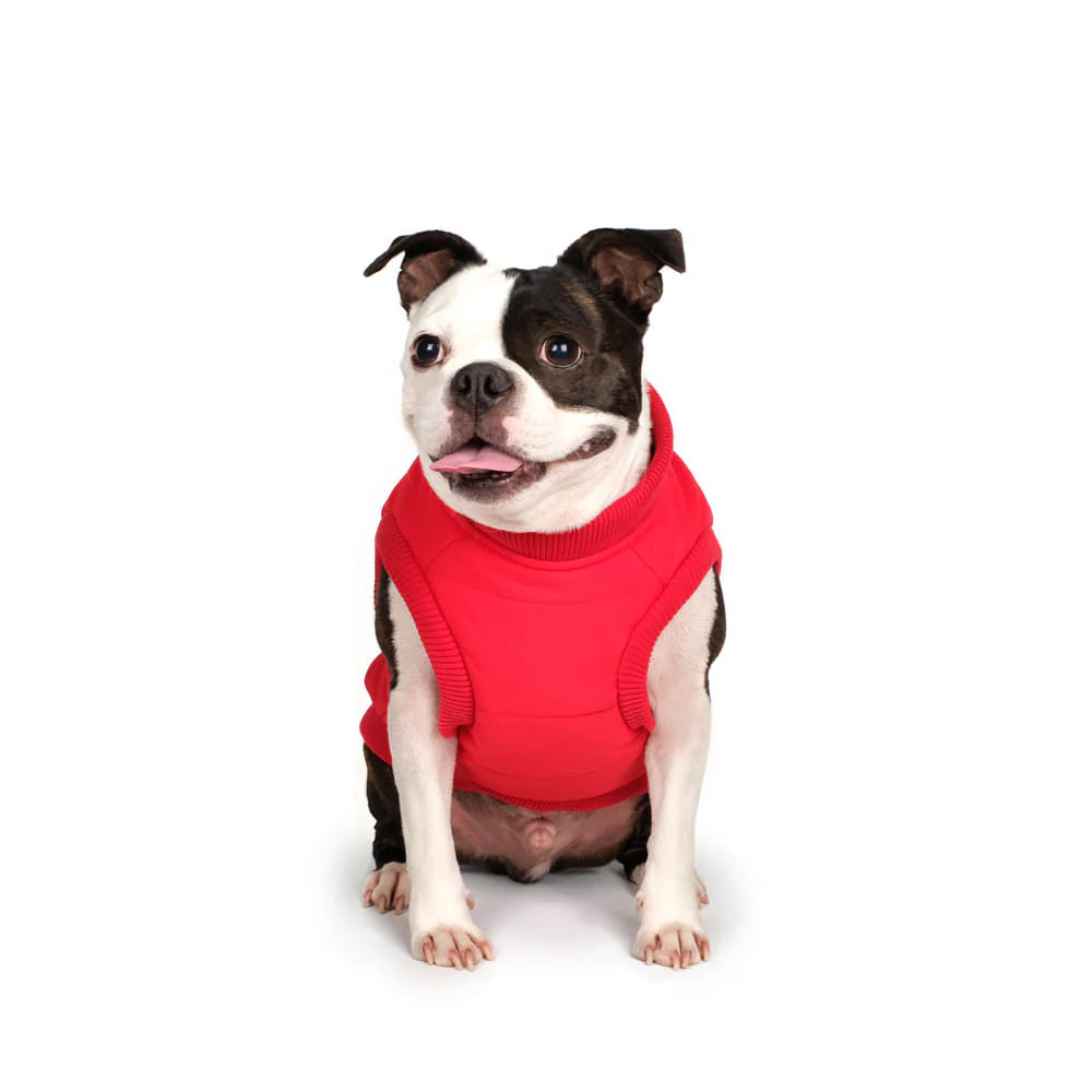 CHARLIE'S BACKYARD | Harness Jacket in Red - Image 2