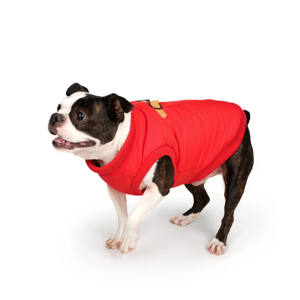 CHARLIE'S BACKYARD | Harness Jacket in Red - Image 3