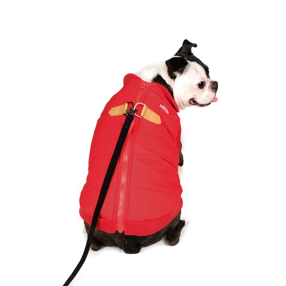 CHARLIE'S BACKYARD | Harness Jacket in Red - Image 5