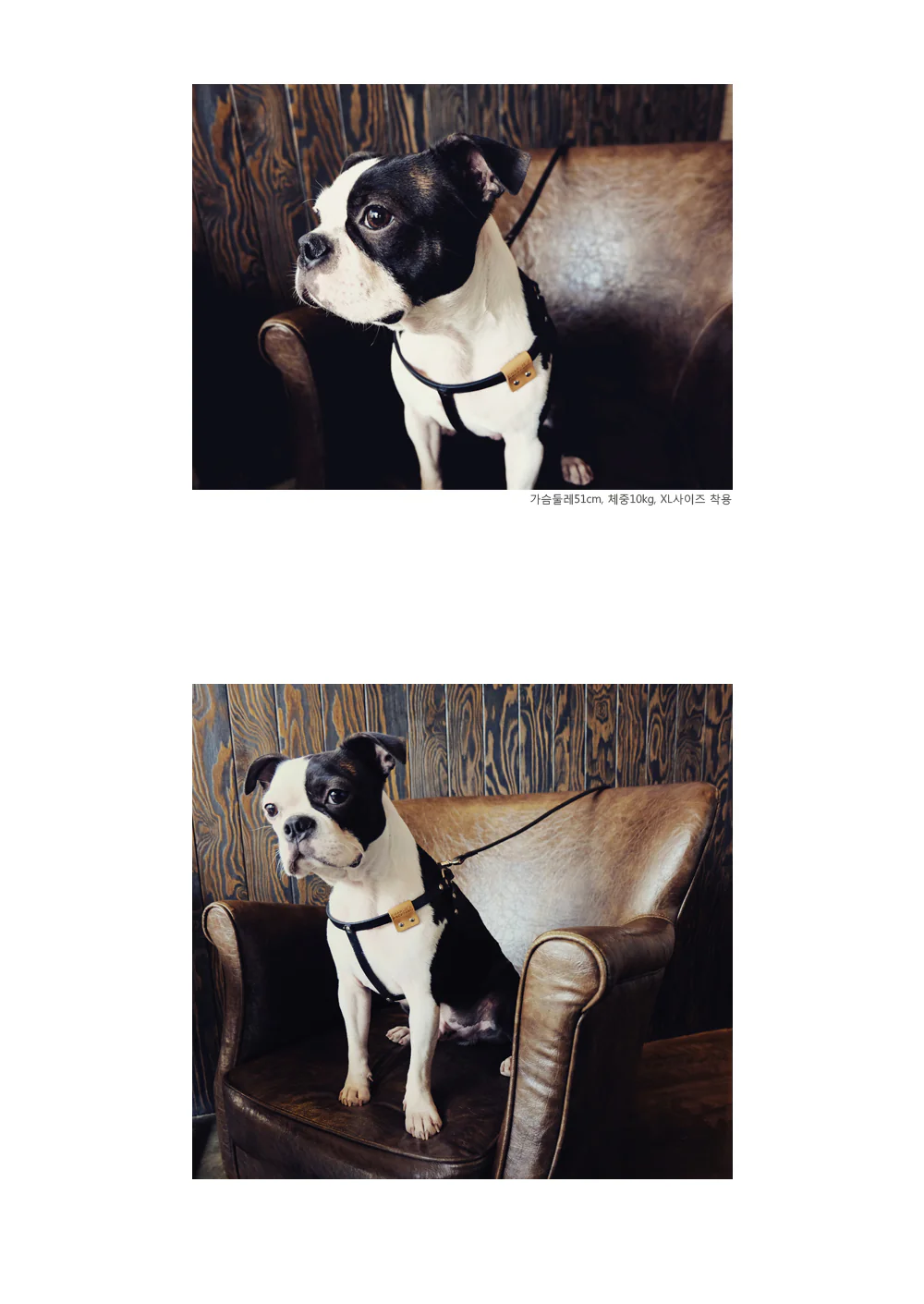 CHARLIE'S BACKYARD | Leather Harness in Black - Image 3