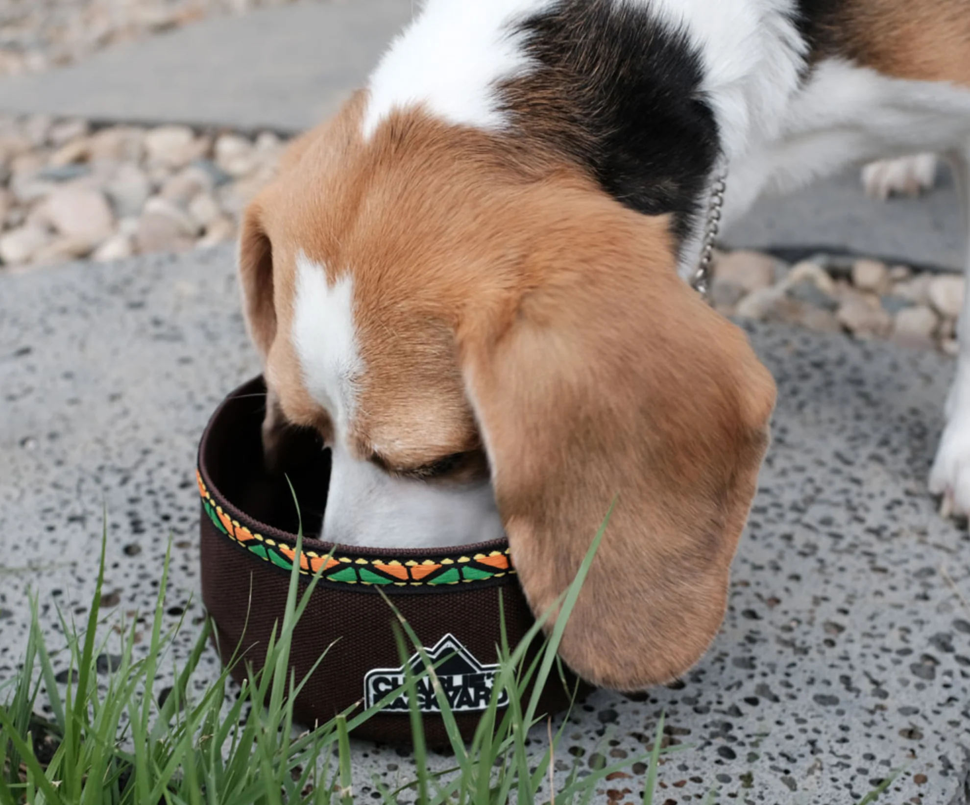 Portable Food & Water Bowl in Black - Image 2