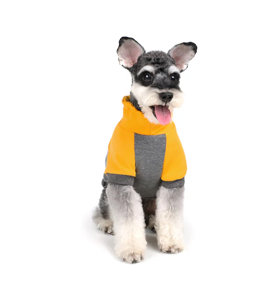 CHARLIE'S BACKYARD | Rover Pullover in Grey & Yellow - Image 5