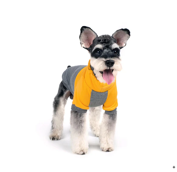 CHARLIE'S BACKYARD | Rover Pullover in Grey & Yellow - Image 6